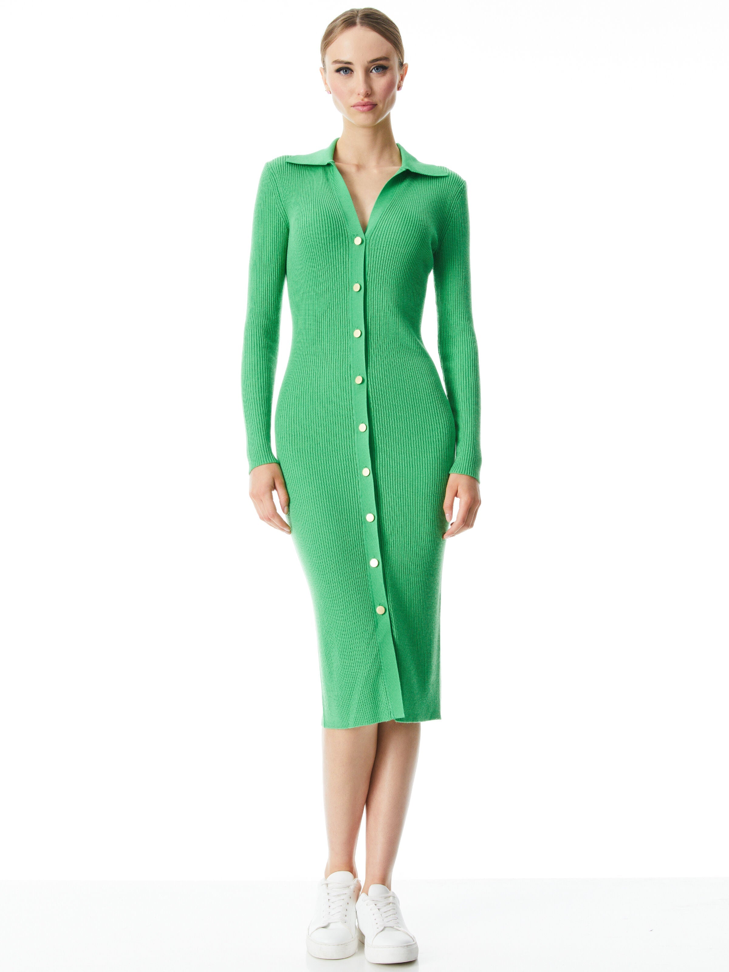 ALCINA BUTTON DOWN POLO DRESS
