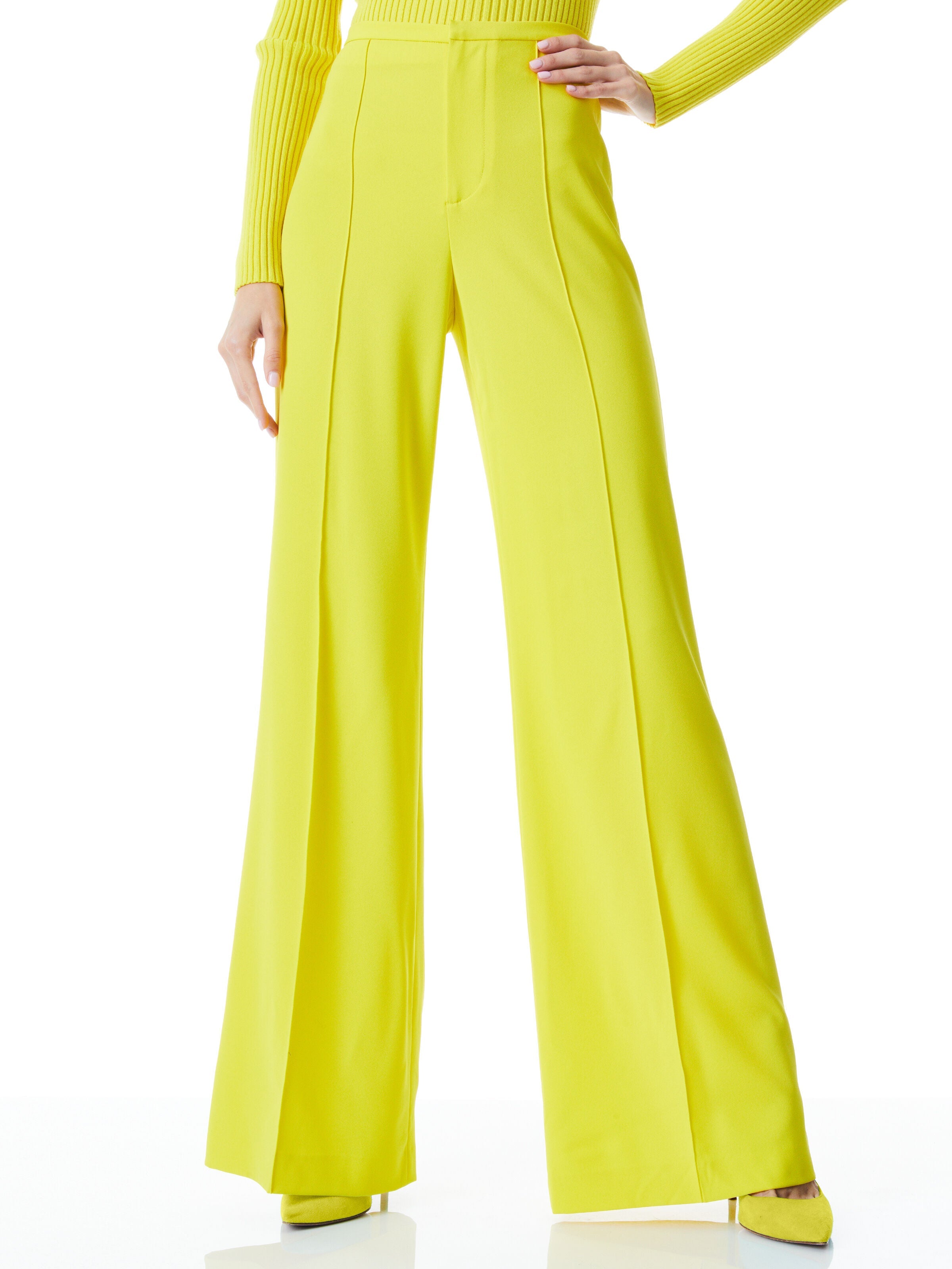 DYLAN HIGH WAISTED WIDE LEG PANT-ALICE + OLIVIA