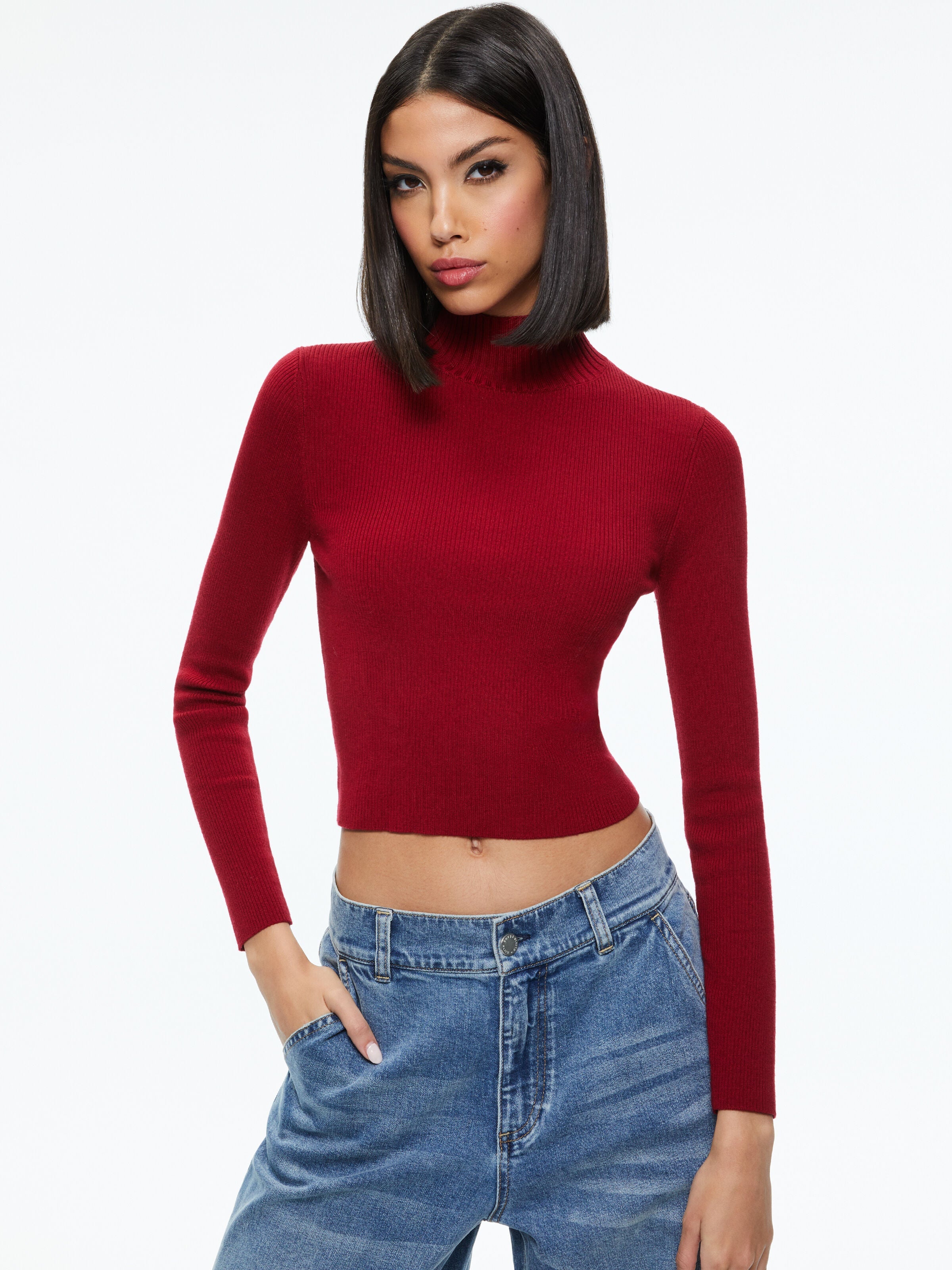SENAIDA CROPPED MOCK NECK PULLOVER