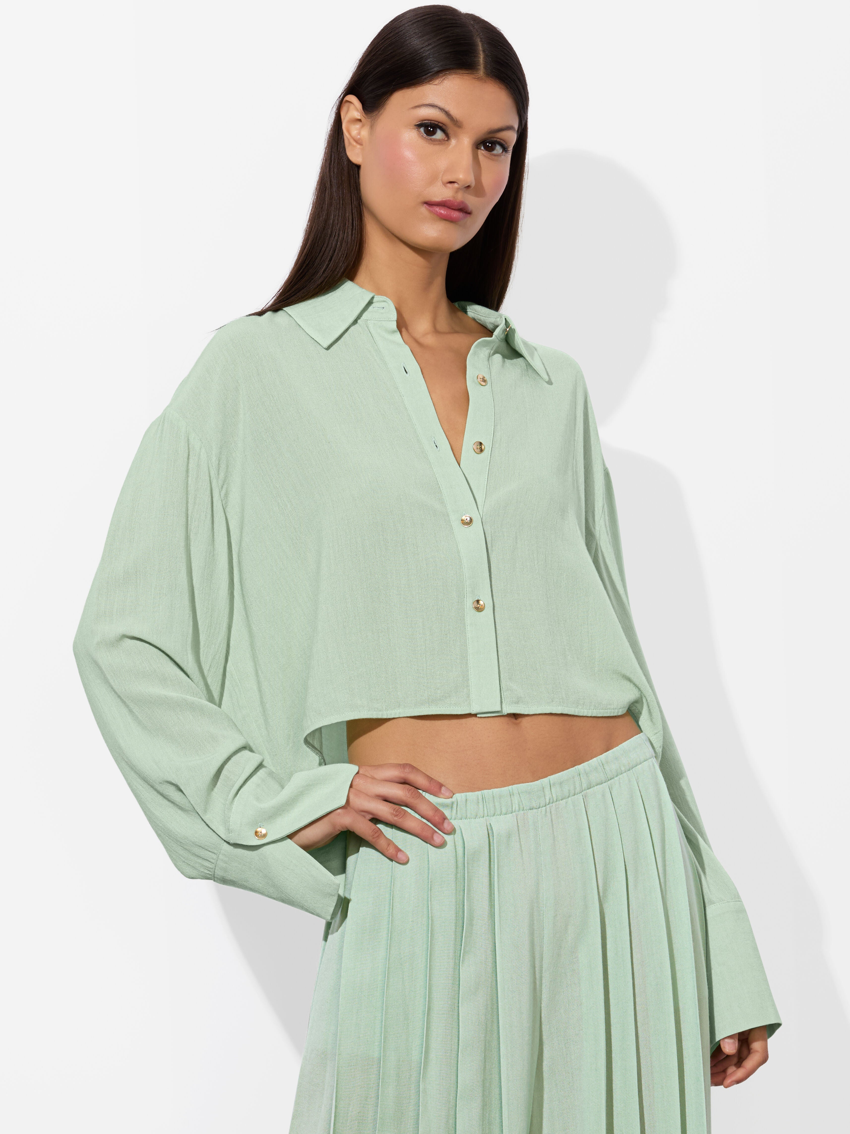 FINELY CROPPED BUTTON DOWN