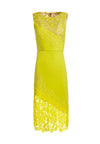 MARGY FITTED DRESS-ALICE + OLIVIA