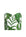 TROPICAL LEAVES