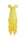 DAFFODIL